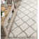 Darrold Shag Performance Geometric Rug