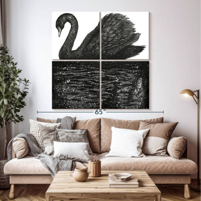 Brampt Black Swan Reflection