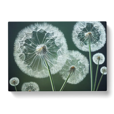 Joyful Dandelion Flowers - Wrapped Canvas
