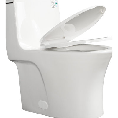 1000 Gram Map Flushing Score 1.1/1.60 One Piece Toilet, Elongated Comfort Height, Soft Closing Seat, Water, Glossy White, Easy To Install Height Toilet With , Design, Water Floor Installation Way,