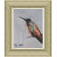 Rufous Hummingbird Painting by Joseph Mota