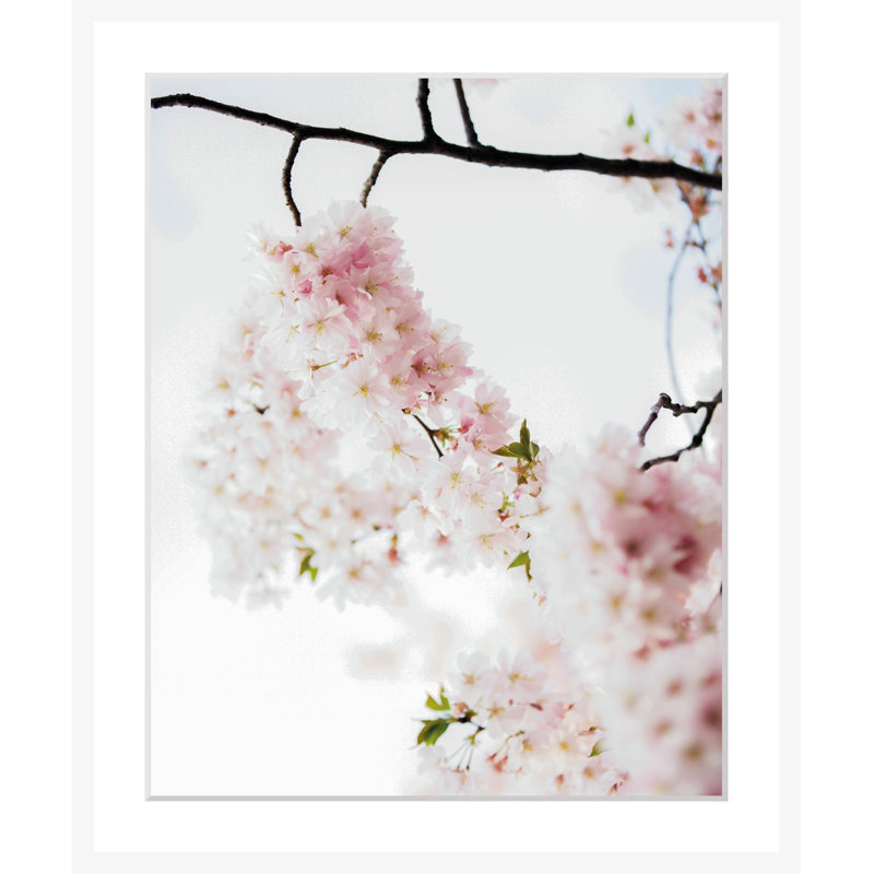 Flowers - Single Picture Frame Print