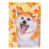 Akita