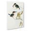 SacHalcyon Kingfishers by Elizabeth Gould - Wrapped Canvas-55324133
