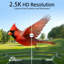  Mangeoire à énergie solaire Coolfly X Richbird avec caméra HD 2,5K en vert forêt-129437176