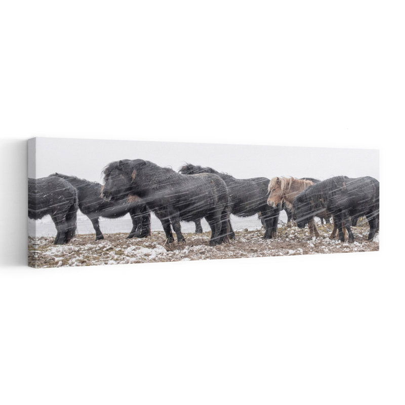 Winter Horses by Gert Van Den - Wrapped Canvas Panoramic Print, 152.4 cm H x 50.8 cm W