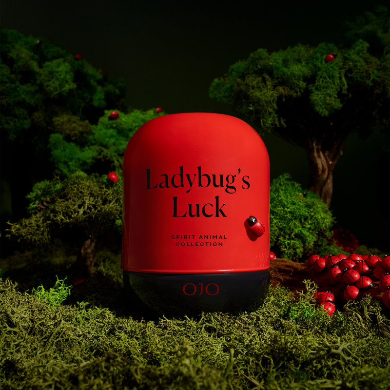  Lady Bug’s Luck Scented Candle – 7.8 Oz Jar Candle With Bamboo, Pimento Hay, Labdanum,myrrh Leather | Over 35-hour Long-lasting Burn | Premium Blend Wax, Home Fragrance And Gift For Special Days