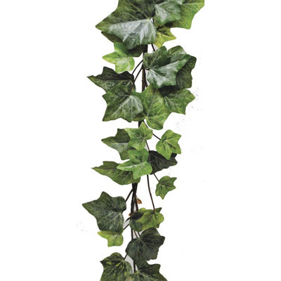 Guirlande 6 'Holland Ivy