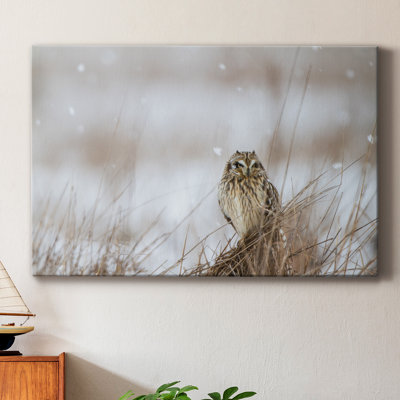 Prairie Winter - photographie sur toile tendue