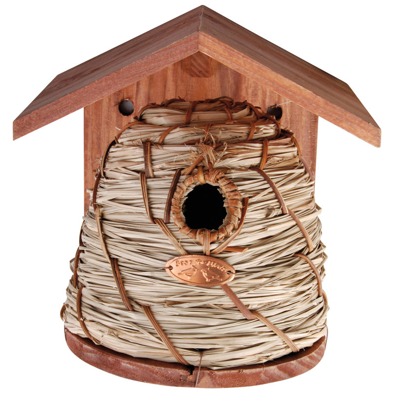 Beehive Bird House