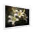 Cadre simple blanc