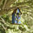 Strader Distressed Solid Wood Cottage Decorative Outdoor Garden Birdhouse with 3D Tree-1021354281
