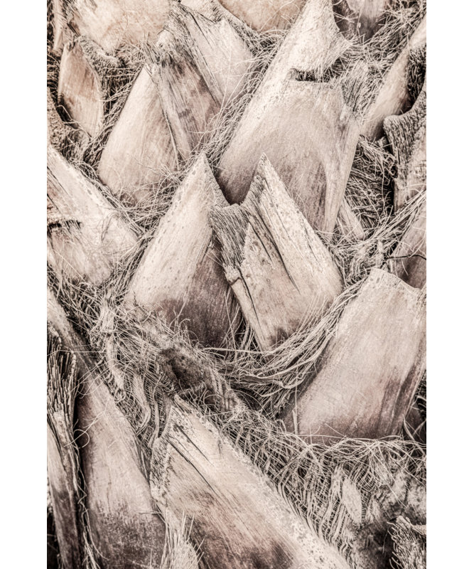 Wrapped Canvas Print, 50.8 cm H x 76.2 cm W