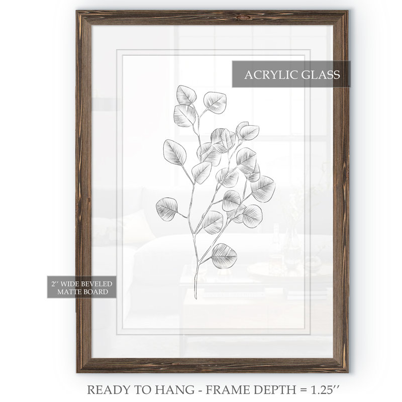 Eucalyptus sketch iii-reproduction de peinture encadrée, H 32 po x l 44 po x P 1,3 po, Impression encadrée espresso