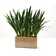 Distinctive Designs 31'' Faux Orchid Plant in Planter | Wayfair