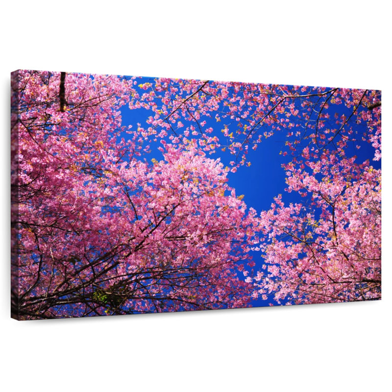Harnek Cherry Blossom Heaven
