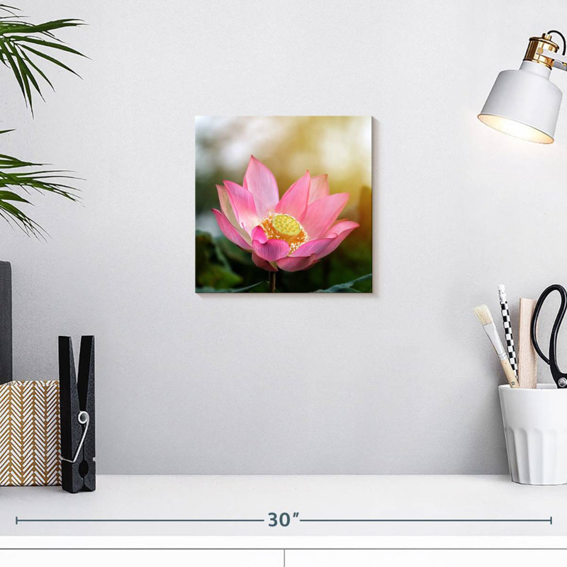 Harnek Lotus au soleil, H 10 po x l 10 po