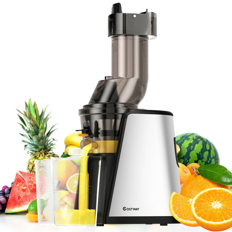 Costway Slow Masticating & Cold Press Juicer