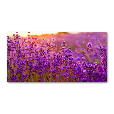 Lavender Field - Wrapped Canvas Print