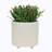 Kasiya Ceramic Pot Planter
