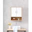 Armoire murale de salle de bain avec porte double et tablette inférieure