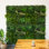 40 po x 40 po Panneau mural artificiel résistant aux rayons UV de la forêt malgache (intérieur / extérieur)