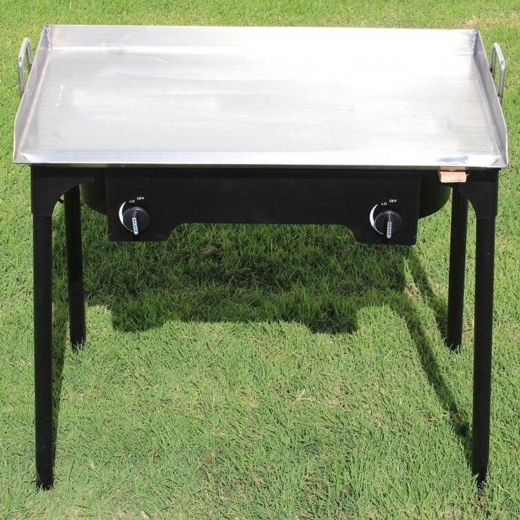 https://assets.wfcdn.com/im/71279015/resize-h755-w755%5Ecompr-r85/1728/17286365/Portable+Propane+Flat+Top+Electric+Grill.jpg