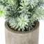 20.32 cm Artificial Herb Plant in Pot