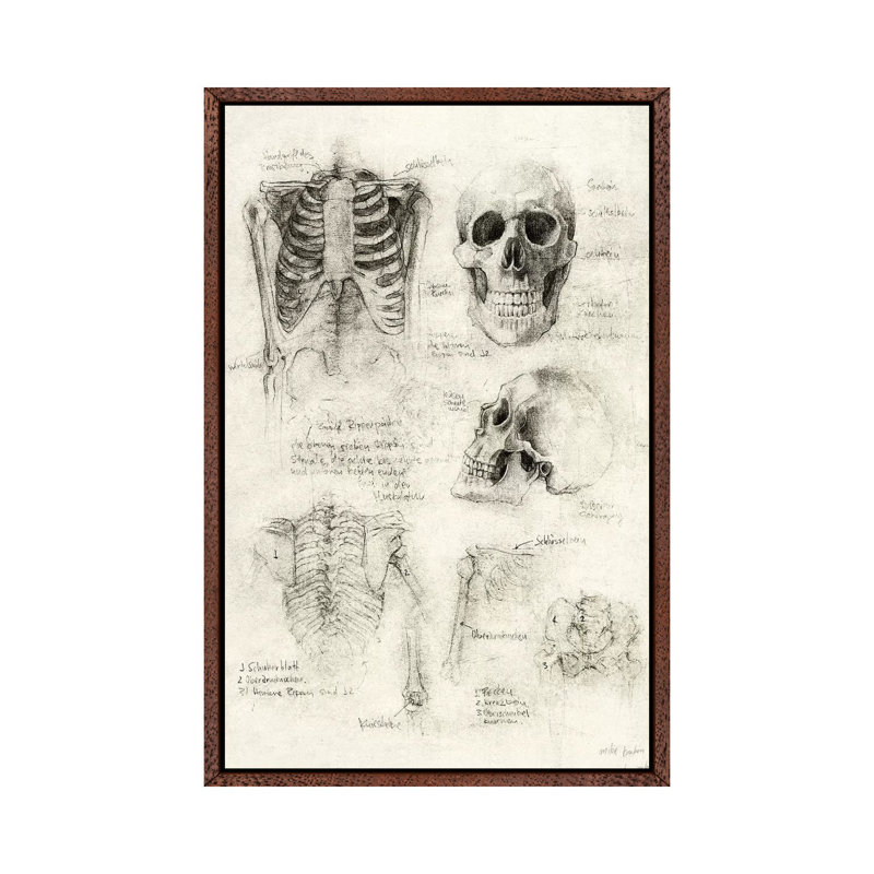 Skeleton 1 Piece Wall Art on Canvas, 66.04cm H x 45.72cm W x 3.81cm D, Classic Brown Wood Framed