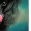 «Traiter Snatcher Toy Black Poodle» de Vidur, impression sur toile tendue-22071910
