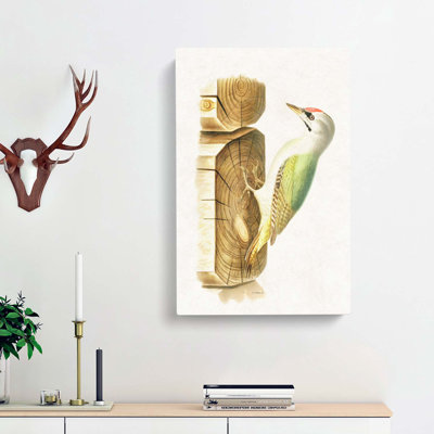 Woodpecker by Von Wright - Wrapped Canvas