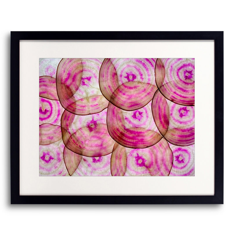 Beet Slices Print by Harold Davis, Black Framed Paper, 16" H x 20" W