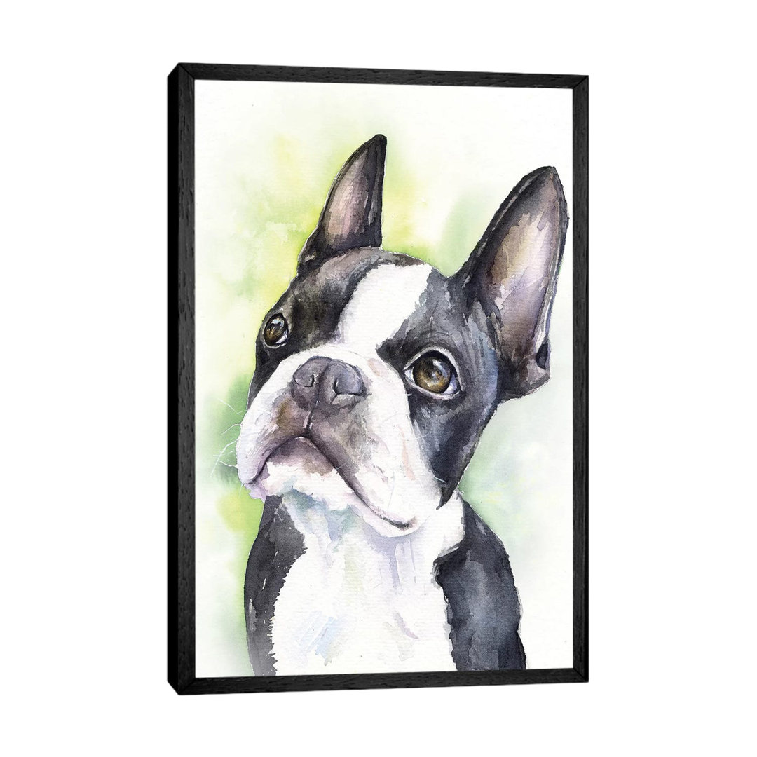 Boston Terrier Puppy by George Dyachenko - Floater Frame Painting on Canvas