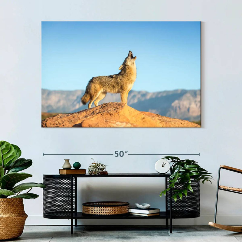 Howling Coyote, 34" H x 51" W