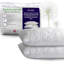Soft Support Pillow (Set of 2)
