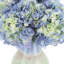 Hydrangeas Arranged in Ceramic Vase-1245088229