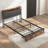 Cozzens Upholstered Bookcase Storage Bed-1427974566