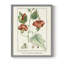Reproduction encadrée Turpin Tropical Botanicals IV - bois massif-1952135325-1952135299