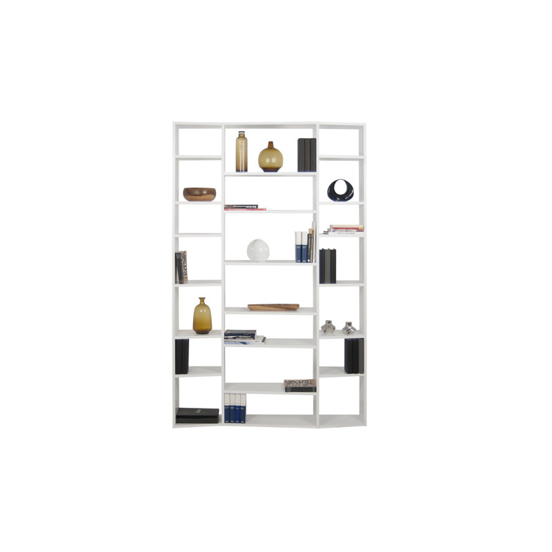 Vsevidof 224 cm H x 144 cm W Bookcase