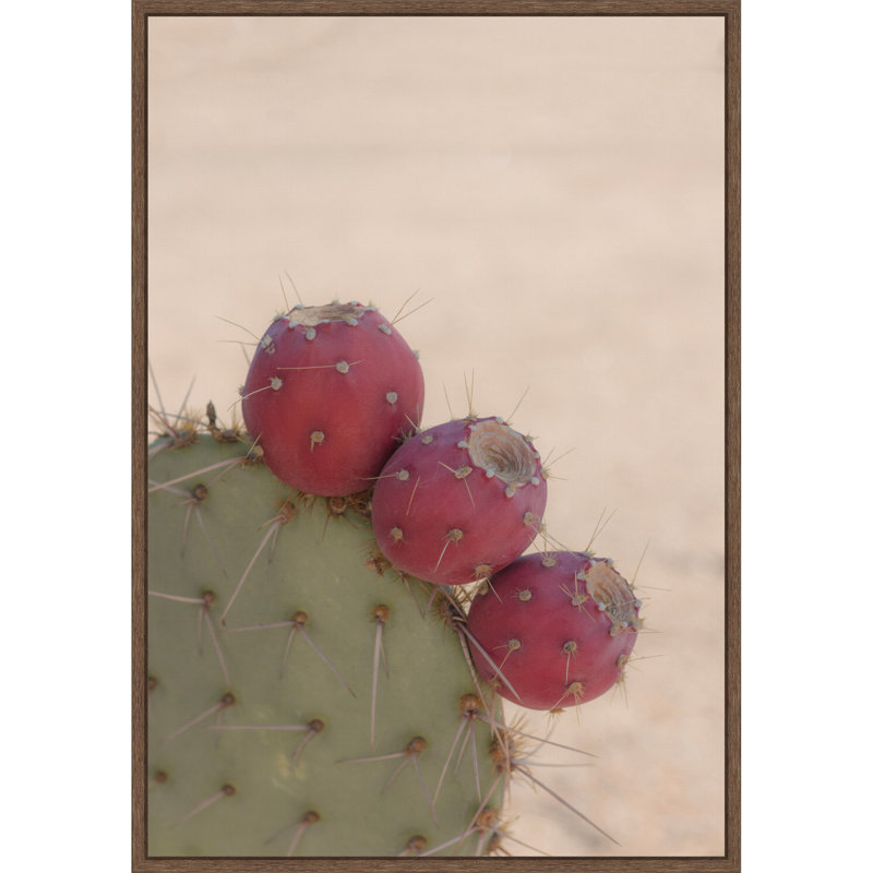 «Modern Close Up Cactus» par Stephanie Klatt, reproduction d'art sur toile encadrée, 23 x 35, Noyer Sylvie