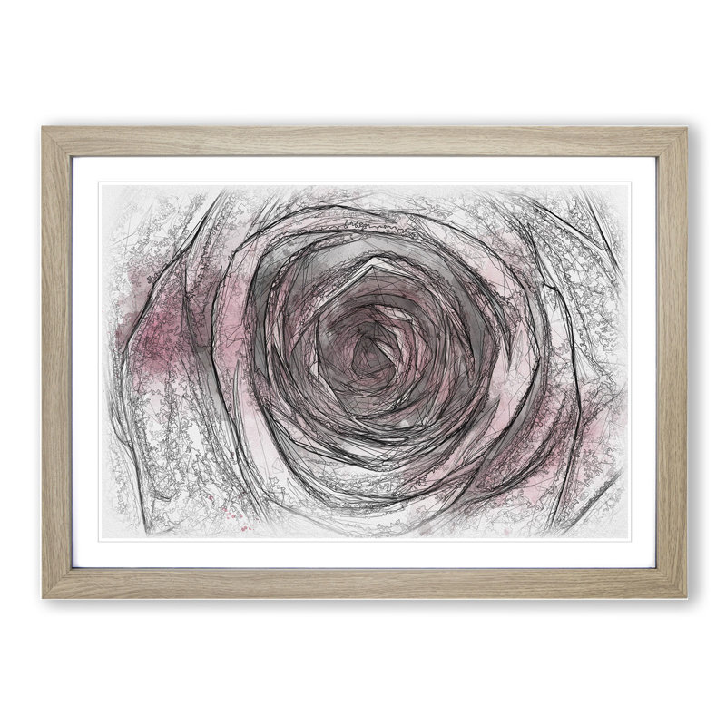 Pink Rose Flower Vol.2 - Picture Frame Drawing, Oak Framed, 27cm H x 36cm W x 2cm D