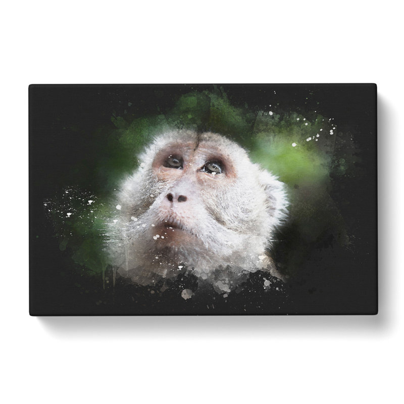 Macaque Monkey - Wrapped Canvas, 35cm H x 50cm W x 3cm D