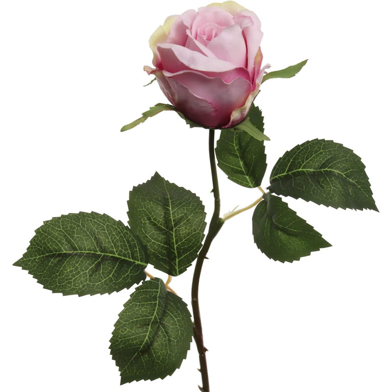 Tige rose 20 po - paquet de 12