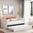 Aliasa Upholstered Daybed with Ergonomic Design Backrest and Trundle-1014203734