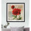 The Botanical Magazine - Reproduction encadrée sur papier-317099660