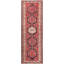 Oriental Area Rug