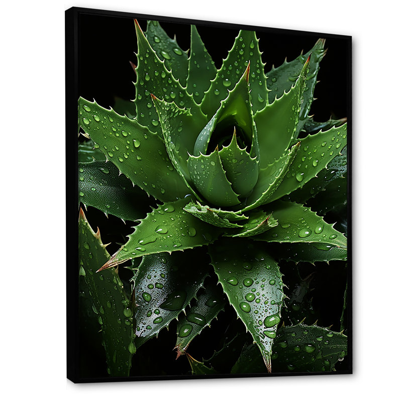 " Cactus Emerald Spikes ", 40" H x 30" W x 1.5" D, Black Floater Framed