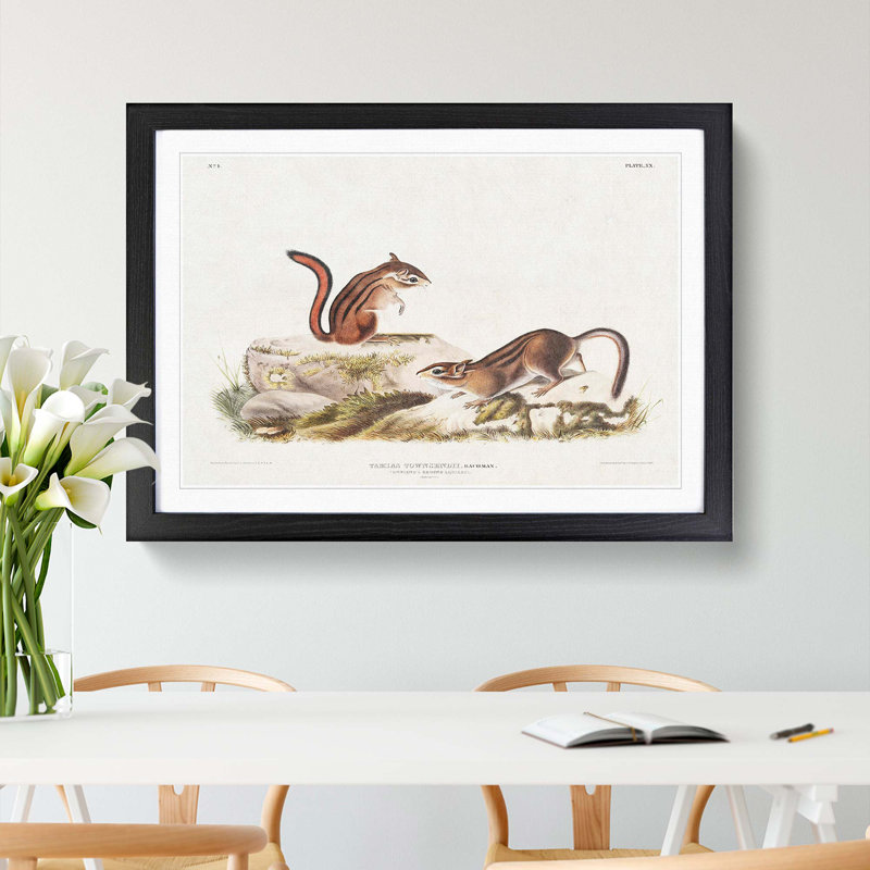 Ground Squirrels by J.W. Audubon - Picture Frame Painting Print, 27cm H x 36cm W x 2cm D, Black Framed
