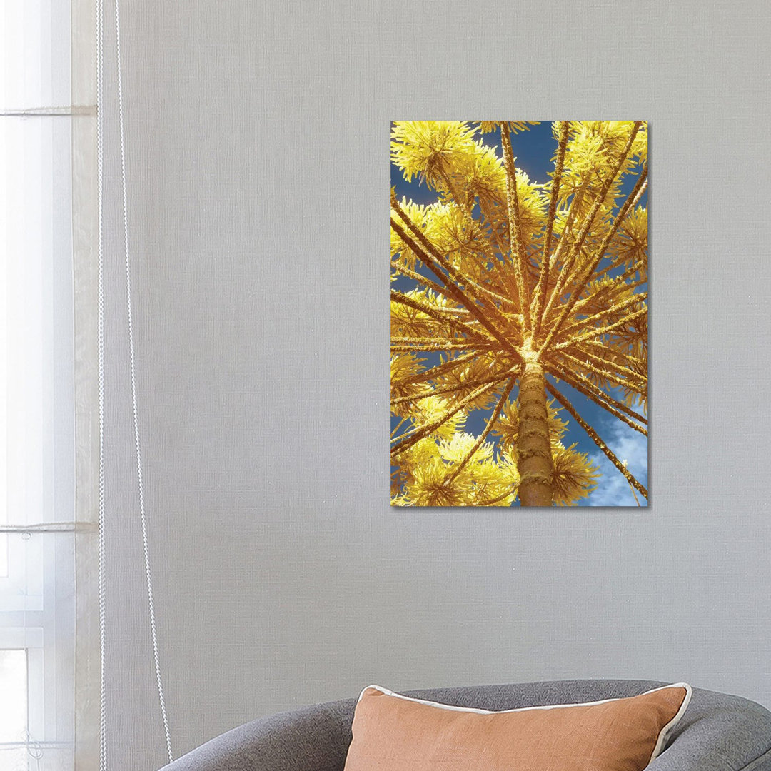 Up by Glauco Meneghelli - Wrapped Canvas Print
