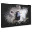Koala Bear Vol.2 Paint Splash - Wrapped Canvas-61887261